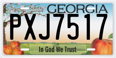 GA license plate PXJ7517