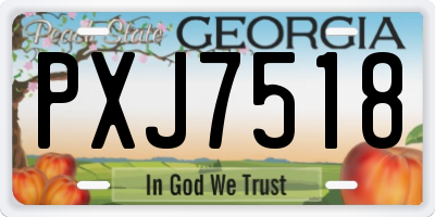 GA license plate PXJ7518