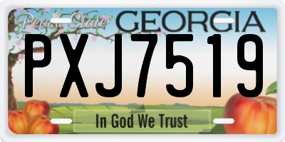 GA license plate PXJ7519