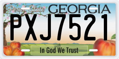 GA license plate PXJ7521