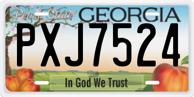 GA license plate PXJ7524