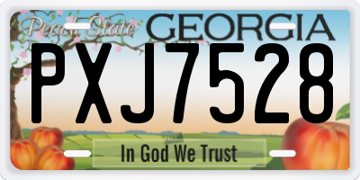 GA license plate PXJ7528