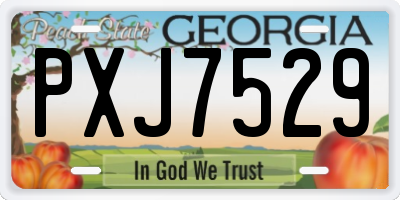 GA license plate PXJ7529