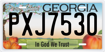 GA license plate PXJ7530