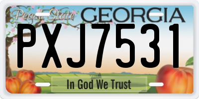 GA license plate PXJ7531