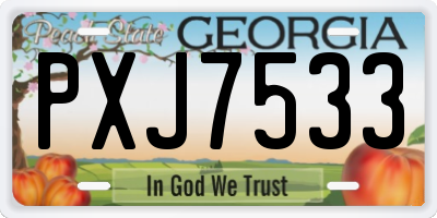 GA license plate PXJ7533