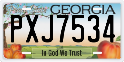 GA license plate PXJ7534
