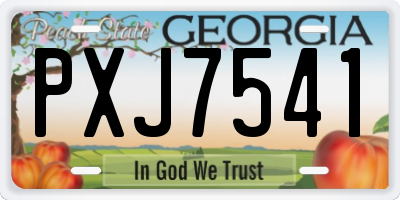 GA license plate PXJ7541