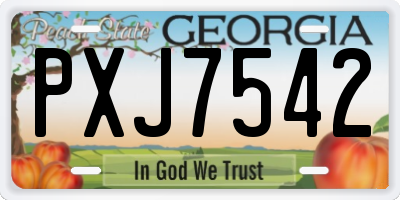 GA license plate PXJ7542