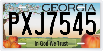 GA license plate PXJ7545