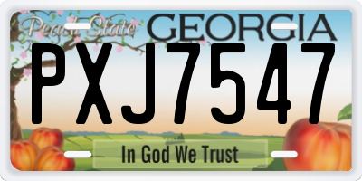 GA license plate PXJ7547