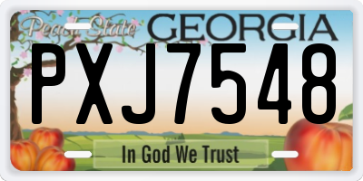 GA license plate PXJ7548