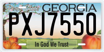 GA license plate PXJ7550