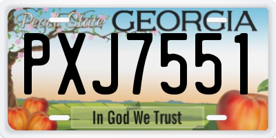 GA license plate PXJ7551
