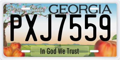 GA license plate PXJ7559