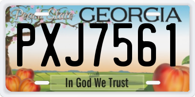 GA license plate PXJ7561