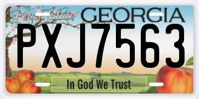 GA license plate PXJ7563