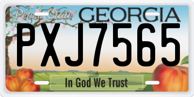 GA license plate PXJ7565