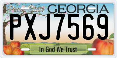 GA license plate PXJ7569