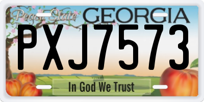 GA license plate PXJ7573