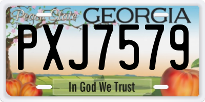 GA license plate PXJ7579