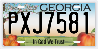 GA license plate PXJ7581