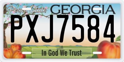 GA license plate PXJ7584