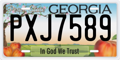 GA license plate PXJ7589
