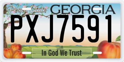 GA license plate PXJ7591