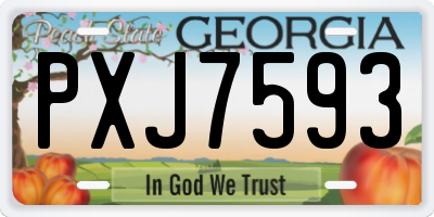 GA license plate PXJ7593