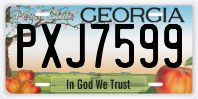 GA license plate PXJ7599