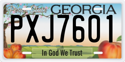 GA license plate PXJ7601