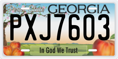 GA license plate PXJ7603