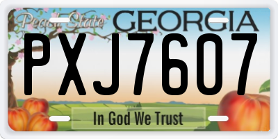 GA license plate PXJ7607