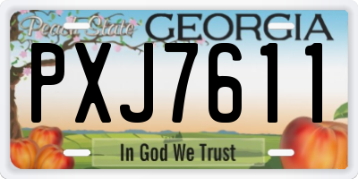 GA license plate PXJ7611