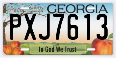 GA license plate PXJ7613