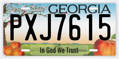 GA license plate PXJ7615