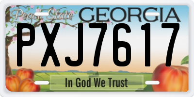 GA license plate PXJ7617