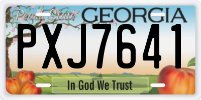 GA license plate PXJ7641