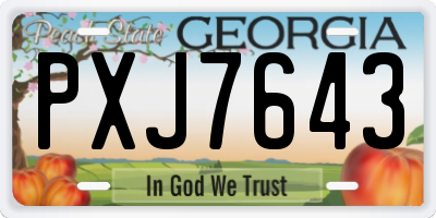 GA license plate PXJ7643
