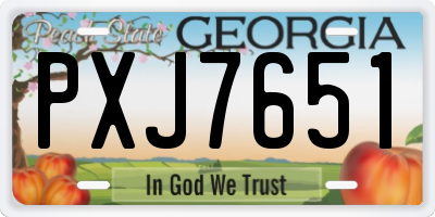GA license plate PXJ7651