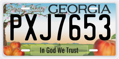GA license plate PXJ7653