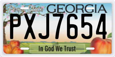 GA license plate PXJ7654