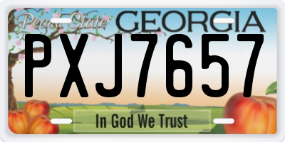 GA license plate PXJ7657