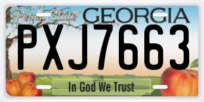 GA license plate PXJ7663