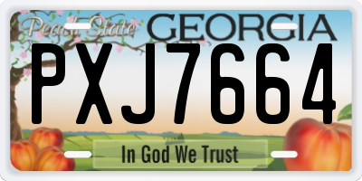 GA license plate PXJ7664
