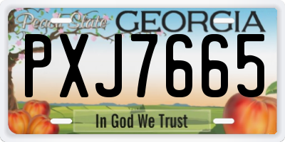 GA license plate PXJ7665