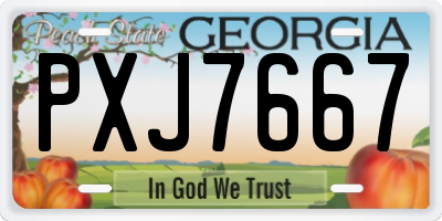 GA license plate PXJ7667