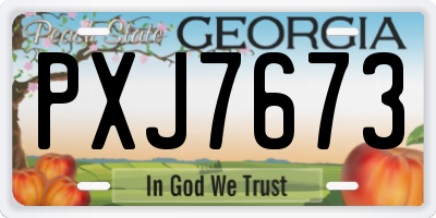 GA license plate PXJ7673