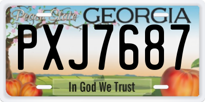 GA license plate PXJ7687